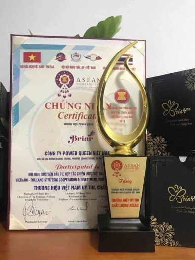 VIÊN ĐẶT THẢO MỘC TẦM XUÂN BRIAR - HỘP 10 VIÊN - hàng chuẩn công ty