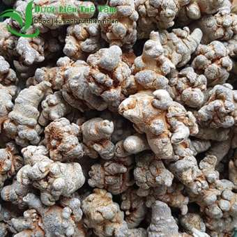 1kg Củ tam thất - TAM THẤT HÀ GIANG (LOẠI 7-8 CỦ)