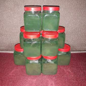 Tảo Bột Spirulina hộp 50g- Thức Ăn Cá Cảnh- Thức Ăn Artemia- Nuôi Artemia Sinh Khối