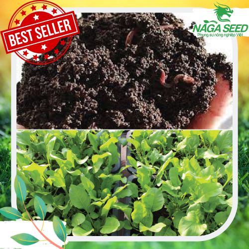 Túi Zipper 500Gr Phân Trùn Quế Dùng Cho Cây Kiểng, Rau Và Các Loại Cây Trồng, Phân Hữu Cơ, Giàu Dinh Dưỡng, An Toàn Cho Sức Khoẻ compost #vermicompost # fertilizer