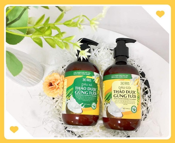 [HCM] Dầu gội xả thảo dược gừng dừa Cocayhoala - giúp kích thích mọc tóc và giảm rụng tóc, ngăn gàu và mềm mượt, làm dày tóc