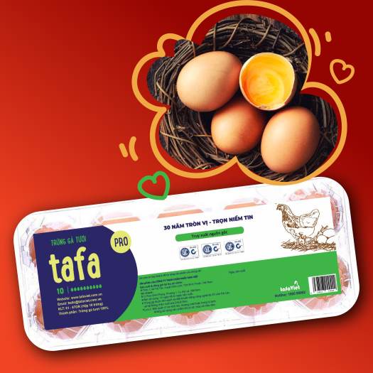 TRỨNG GÀ TƯƠI PRO - HỘP 10 TRỨNG