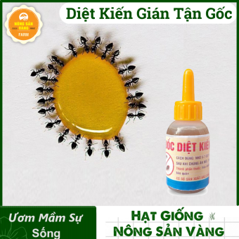 Thuốc Diệt Kiến Gián Sinh Học Tận Gốc, Không Mùi, An Toàn, Không Độc Hại (chai 10ml) - Nông Sản Vàng