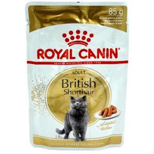 wet food untuk british shorthair