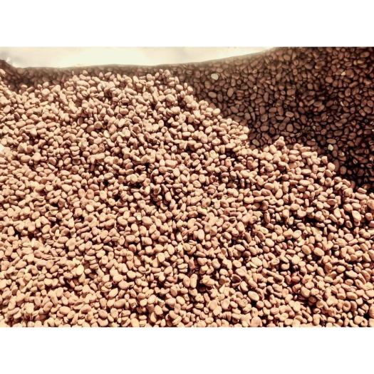 Hạt đậu tằm Úc( đậu răng ngựa- FABA BEAN) 1kg