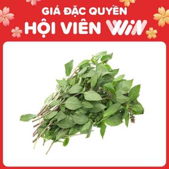 Húng quế WinEco gói 50g