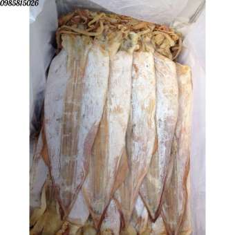 khô mực Vân Đồn size lơn 1kg