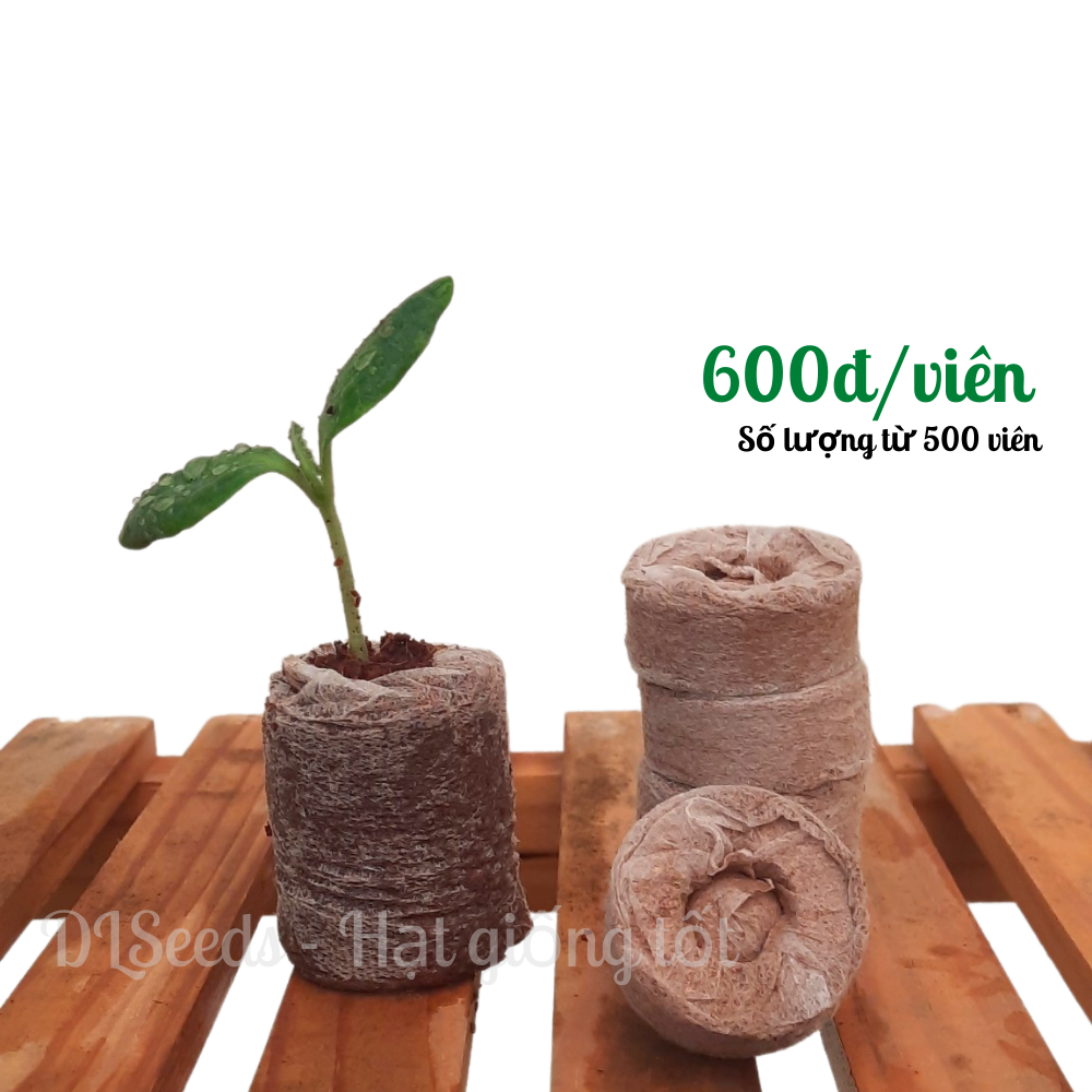 Viên nén mụn dừa 100 viên nén 70k dùng để ươm hạt giống và cây giống