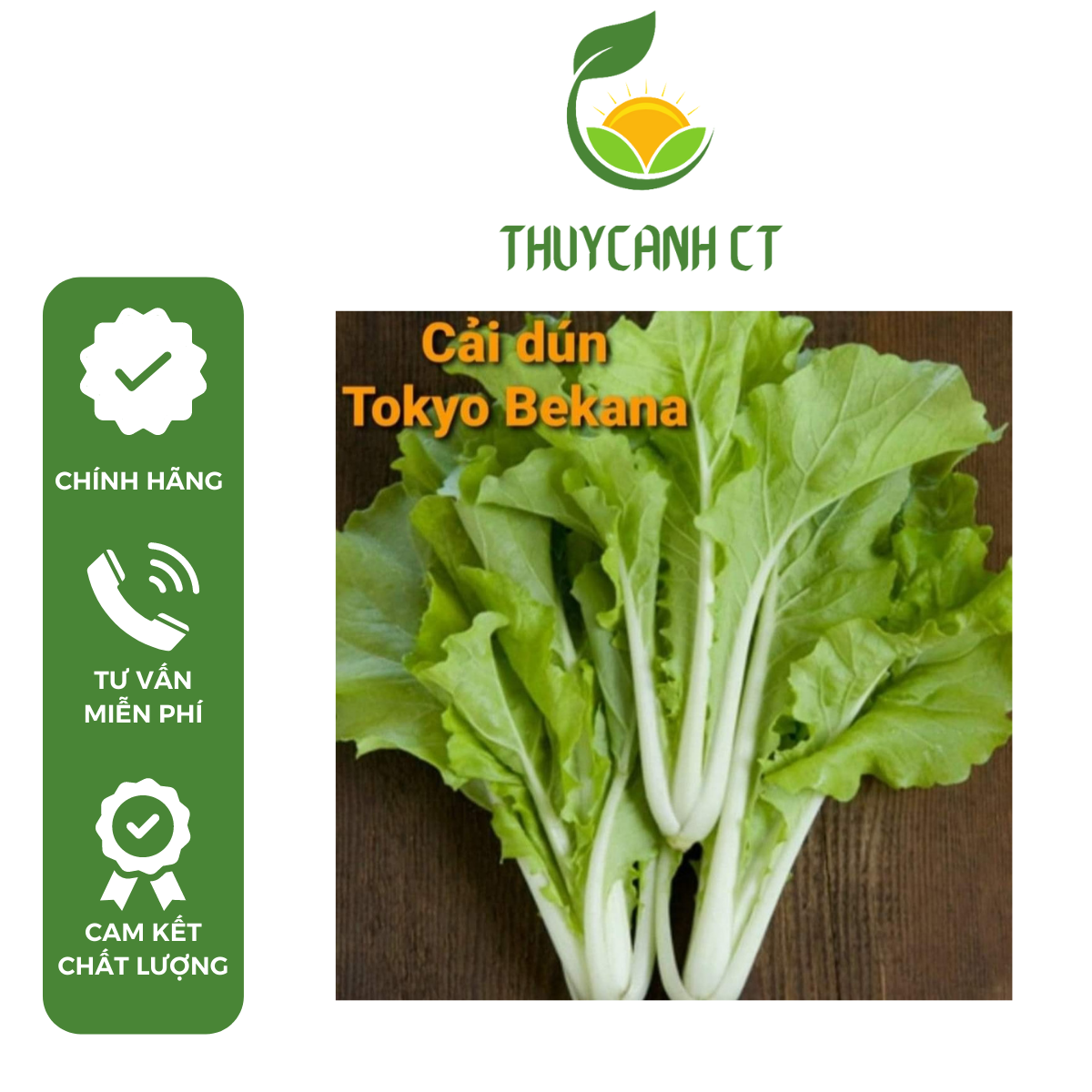 Hạt giống Mỹ cải bẹ dún Tokyo Bekana dễ trồng chịu nhiệt hãng Johnny’s Seeds