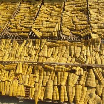 [KHUYẾN MÃI] 500G Măng nứa khô - Đặc sản Tây Nguyên