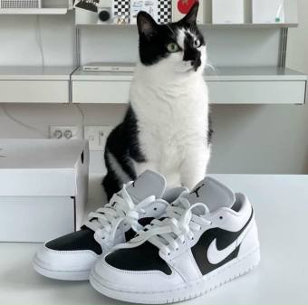 Giày N.i.k.e Air Jordan 1 Low Panda Trắng đen nam nữ
