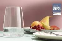 Schott Zwiesel Universal All-Around Drinking Glass (6 pcs)