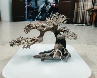 Lũa bonsai cho hồ thủy sinh (15x25cm)