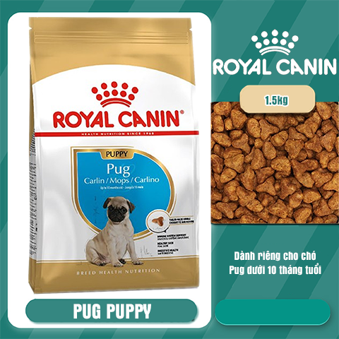 Thức Ăn Hạt Cho Chó – Royal Canin Pug Puppy – 500g thức ăn hạt cho chó pug|Hạt khô cho chó| hạt cho cho chó giá rẻ| Thức ăn cho chó lớn| thức ăn cho chó con| cám chó giá rẻ|thức ăn chó phốc sóc| hạt chó alaska|thức ăn chó classic|do