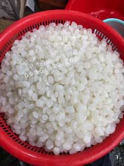 1kg Hạt Đác Tươi Sạch Nha Trang Loại Trung