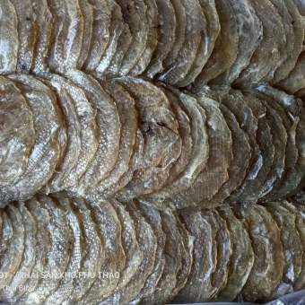 CÁ BÓNG TRÒN 0.5KG