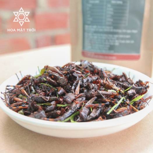 Châu chấu cay giòn, châu chấu rang lá chanh, đồ khô, đồ sấy, thực phẩm khô, thực phẩm sấy làm đồ nhậu HOA MẶT TRỜI FARM