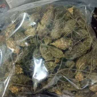 MƯỚP ĐẮNG RỪNG KHÔ(1kg)