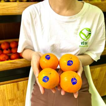 VG FARM Quýt Úc - mới về cứng trái, vỏ mỏng, thơm ngọt