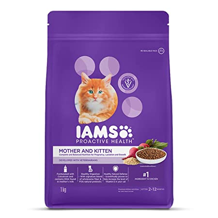 best cheap kitten food