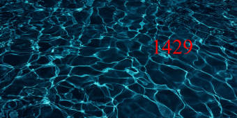 Tranh 3D dán đáy bể cá cảnh