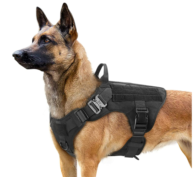 k9 tactical leash