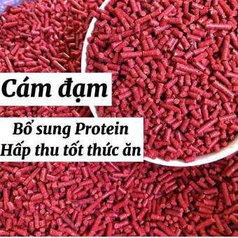 Cám Đỏ Đạm Gà Đá Javan