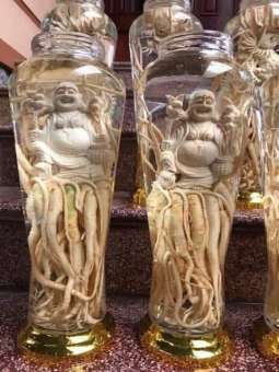 Rể đinh lăng điêu khắc bình 7l - HÌNH TÙY CHỌN