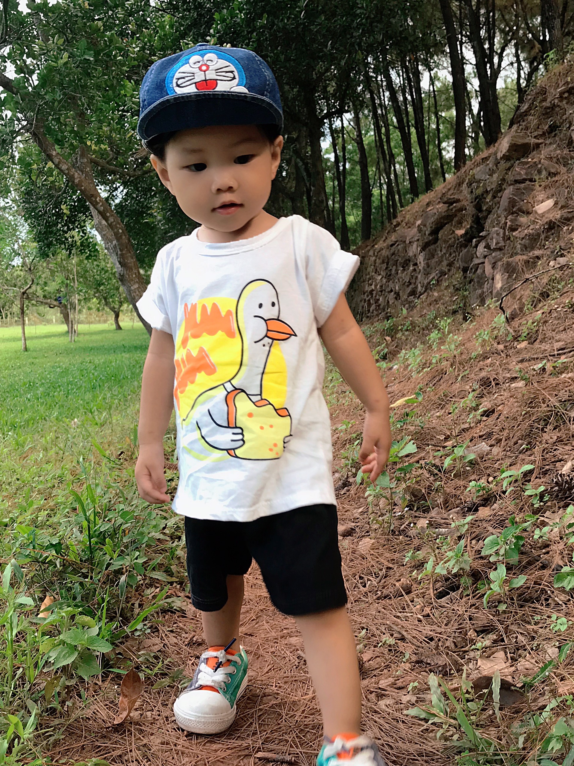 Bộ đùi cho bé trai và bé gái combo 5 bộ 5- 20kg