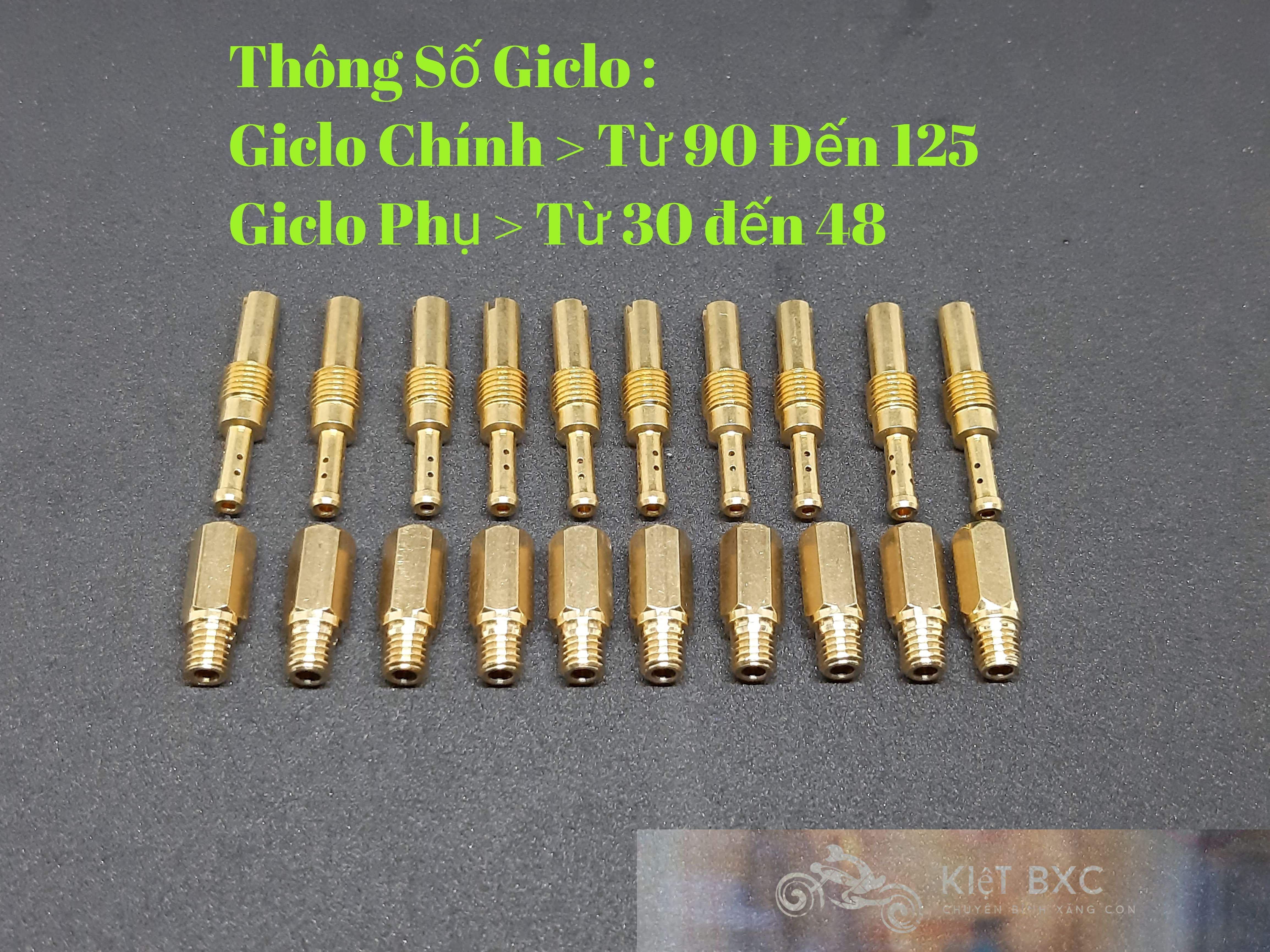 20 Giclo chính phụ Ga Dẹp/Nắp Chaos