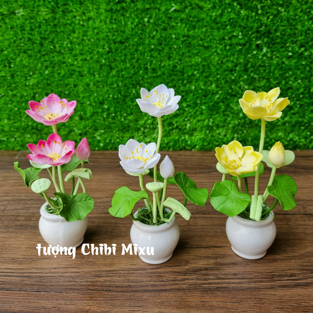 Chậu hoa sen bằng đất sét Nhật cao tầm 10cm