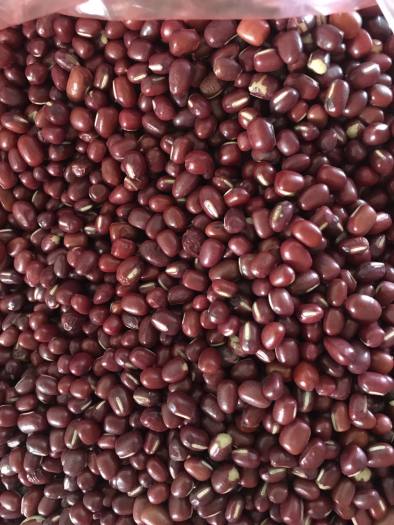 1kg hạt đậu đỏ hạt nhỏ