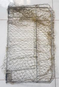 Mẹt vuông bẫy bip quốc