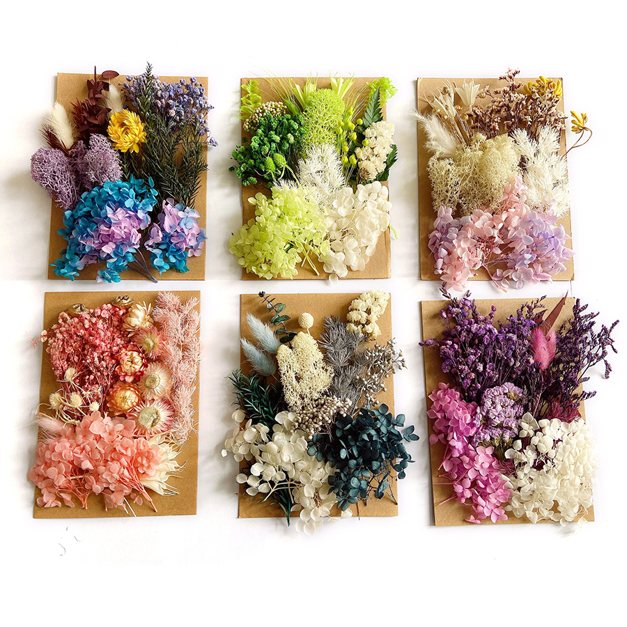 Dried Pressed Flowers for Resin Dry Leaves Bulk for Scrapbooking DIY Art  Crafts 