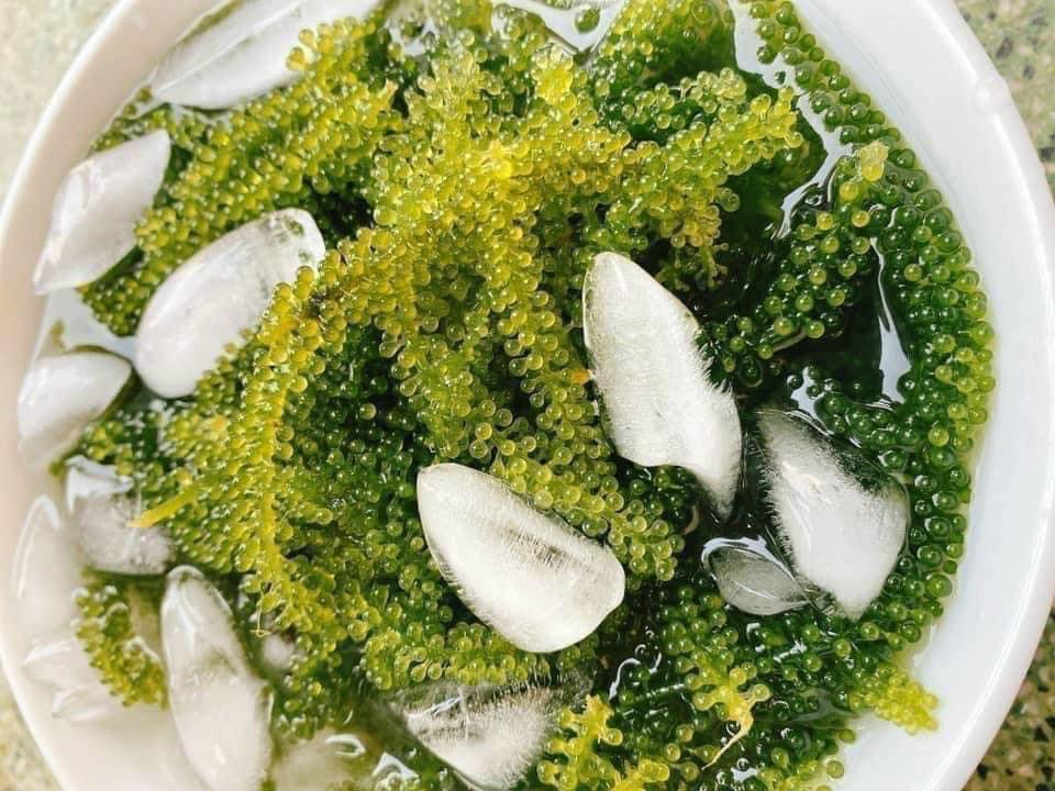 Rong nho tách nước Nha Trang hộp 200gr