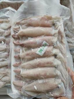 Mực trứng 1kg size 20 con (giao tphcm)