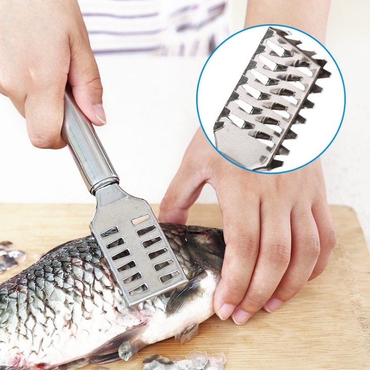 Dụng cụ đánh vảy cá - cây cạo vảy cá