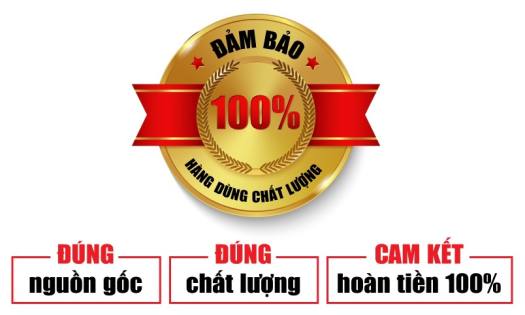 1 thùng 25 hộp (500 cái) Khẩu trang 4D 3HMask Vĩnh Tiến cao cấp
