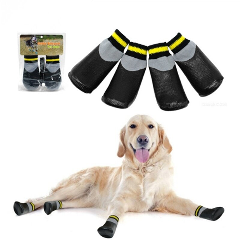 dogs socks and shoes