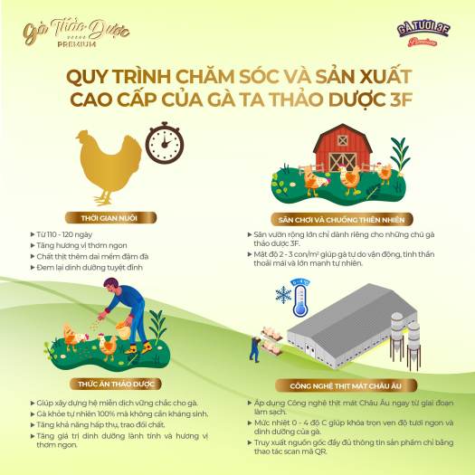 3F Gà Ta 1.3kg tươi nguyên con - Gà ta không chất tăng trọng, không chất bảo quản