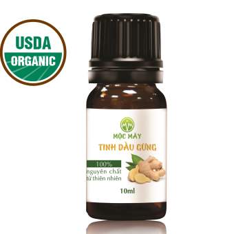 Tinh dầu Gừng nguyên chất từ thiên nhiên Mộc Mây