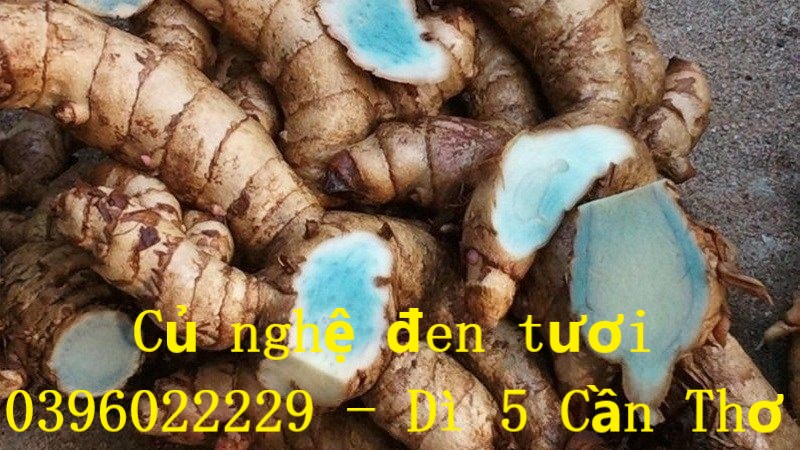 Củ nghệ đen nhà trồng 1 ký