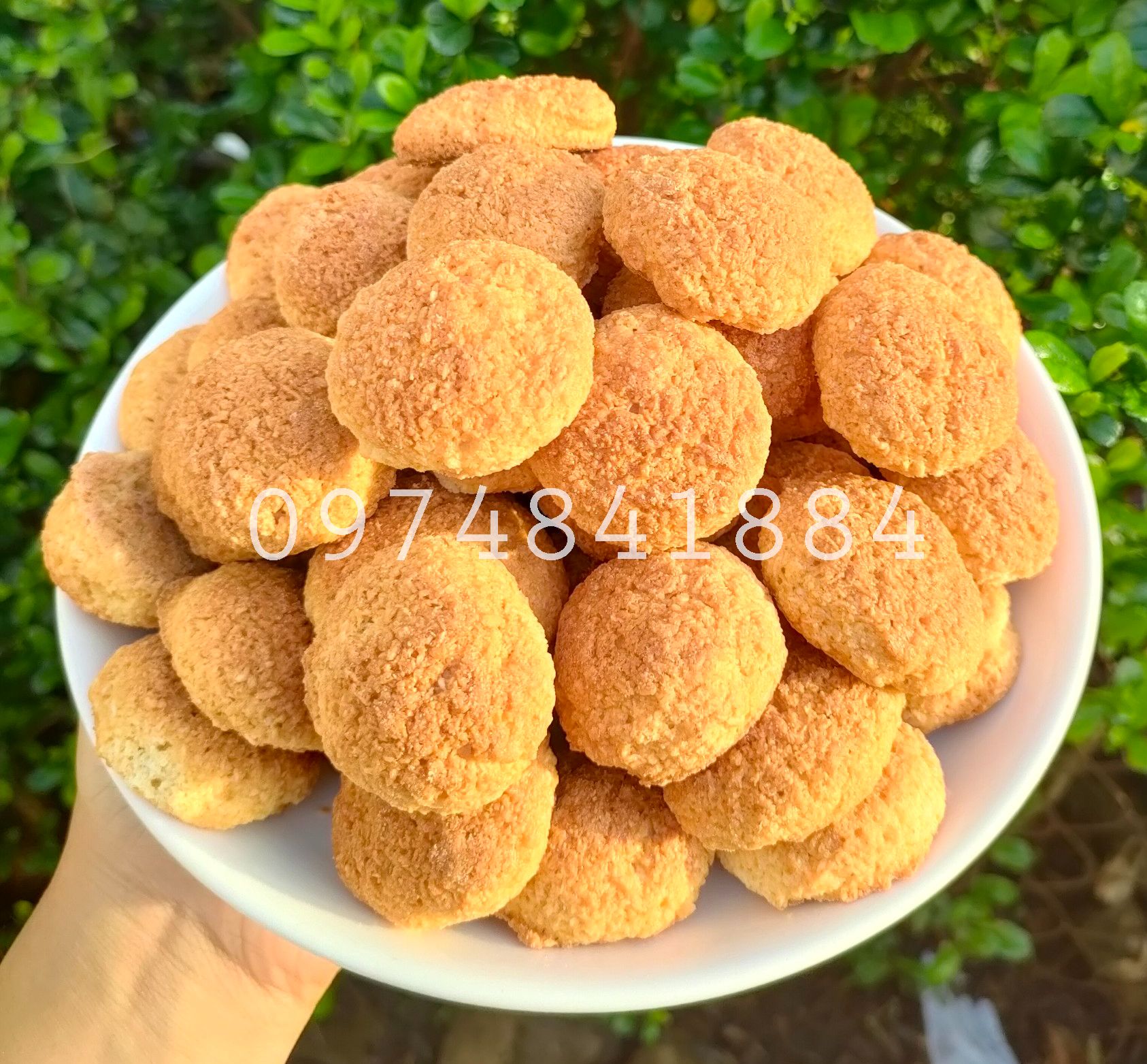 Bánh dừa sữa đặc biệt thơm ngon 1kg/ 500g/ 250g - bánh kẹo đồ ăn vặt