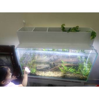 Lọc Tràn Trên Bể Cá - Lọc Nhựa 8li Cho Bể Kính Lớn (60-80)