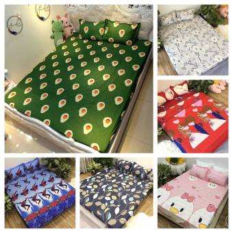 Bộ ga gối bọc nệm poly cotton, drap bo chun 2mx2m2