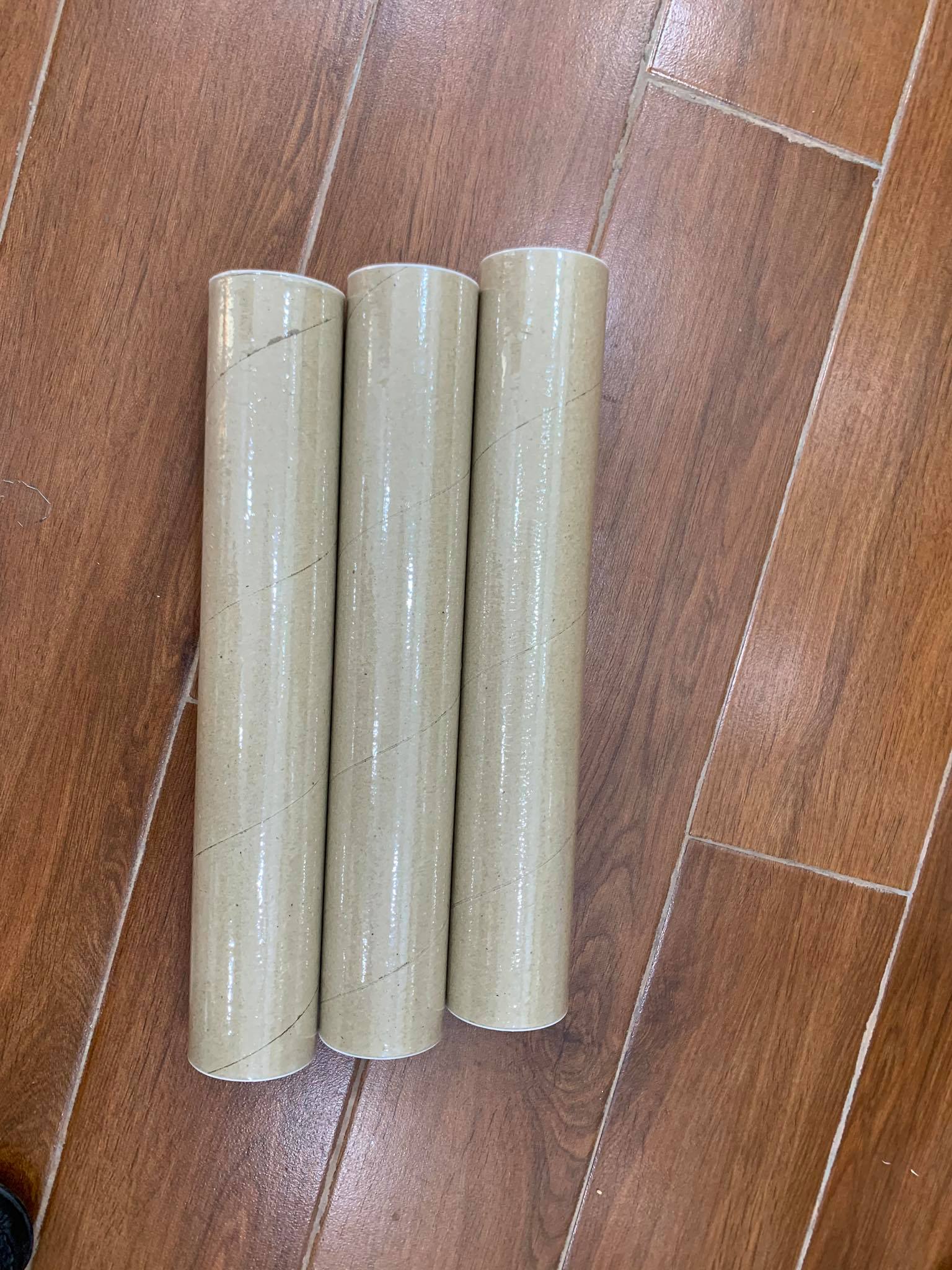 Ống cầu tập chính hãng Vinastar 12 quả