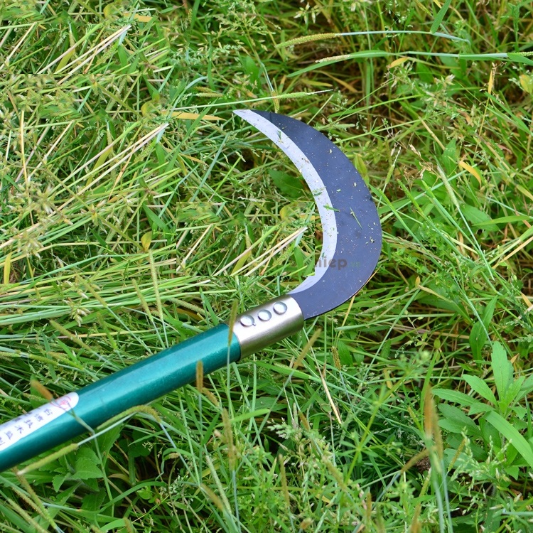 Liềm phát cỏ cán nhôm 25cm _ li826