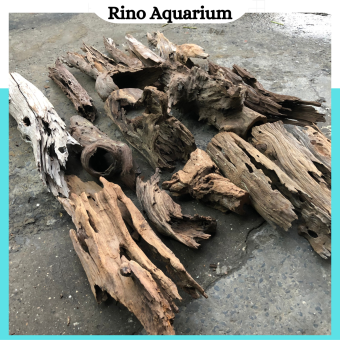 Lũa Săn Đá Ống Trang Trí, Thiết Kế Layout Bể Thủy Sinh Hàng Siêu Đẹp (1KG)