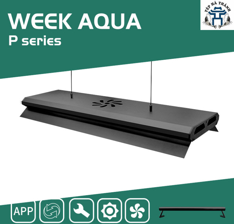 [Hoàn Tiền 10%] Đèn Led Cao Cấp WRGB Week P Series P600 P900 P1200