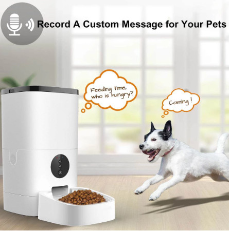 Máy tự động hẹn giờ cho Pet ăn - Máy cho chó mèo ăn bình chứa 6 lit - Máy cho mèo ăn tự động 6 L